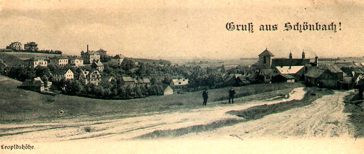 Ansichtskarte Schönbachs mit Blick auf die Falkenauer Straße um 1900. Nr. 316 ist das achte Haus von links